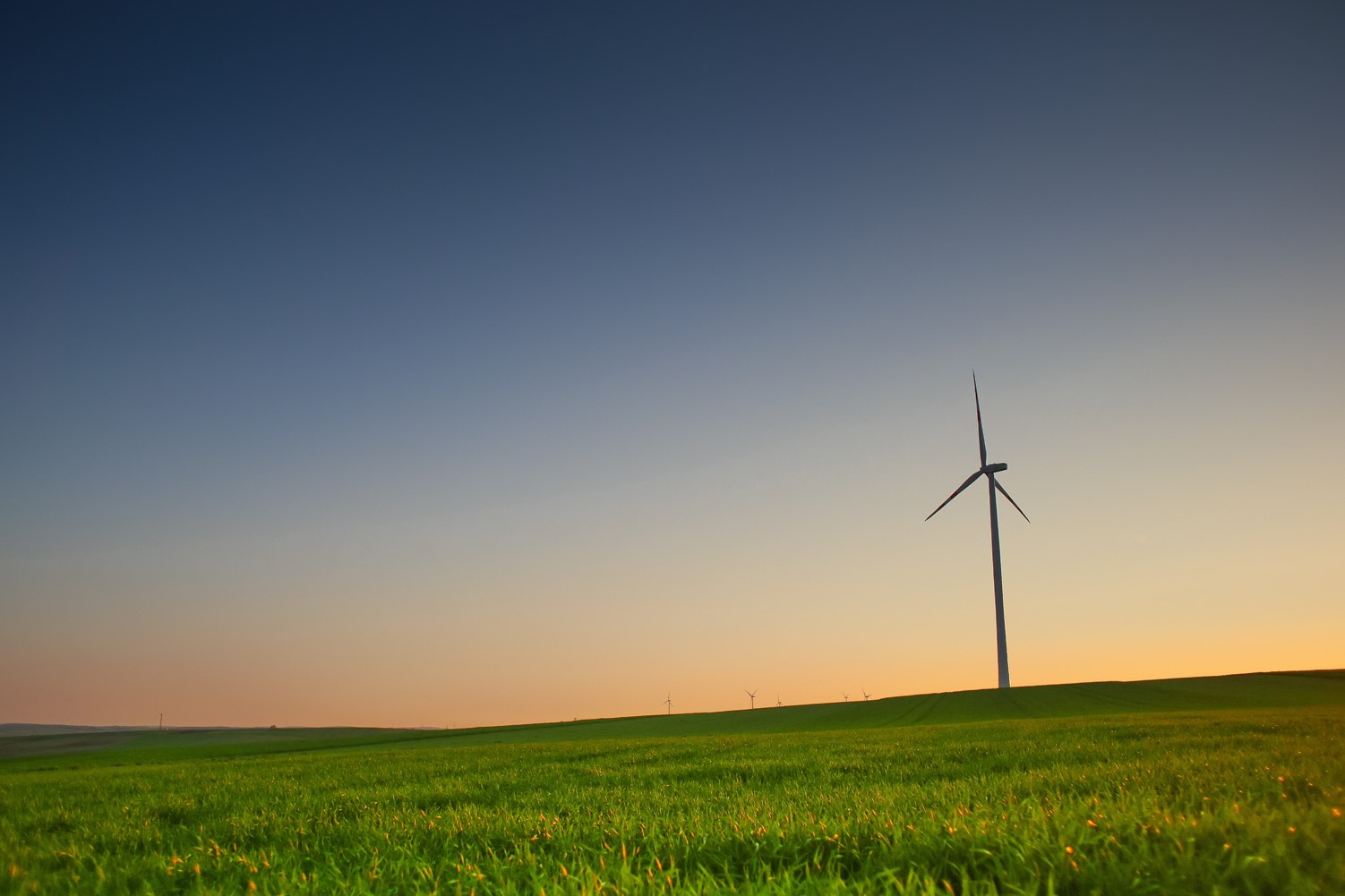 widok na łąkę z turbinami wiatrowymi podczas zachodu słońca