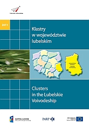 Clusters in the Lubelskie Voivodeship (EN) (PL)
